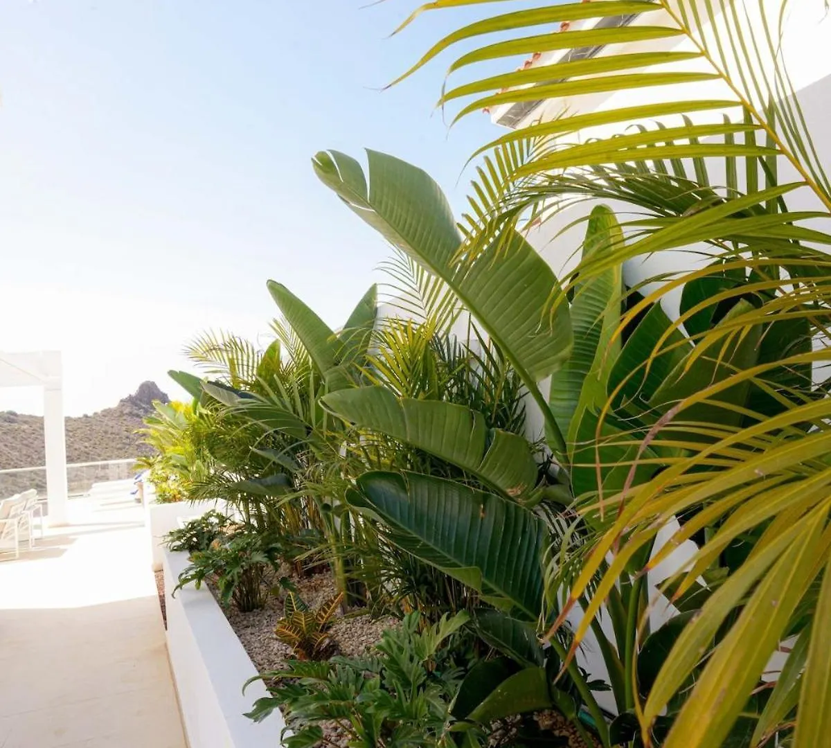 Gs Luxury Navarra Sunset, Luxury Villa With Pool And Sea Views Costa Adeje